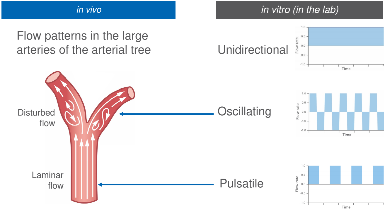 ibidi流體剪切力泵系統流動類型