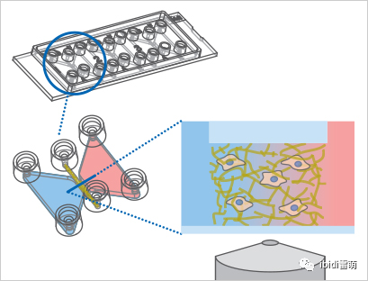 1699521997408788.png 9ea2f9b6bcee33011133342d92acd83d.png