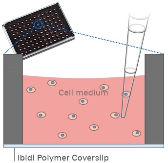 1701934307108277.jpg 14578.JPG