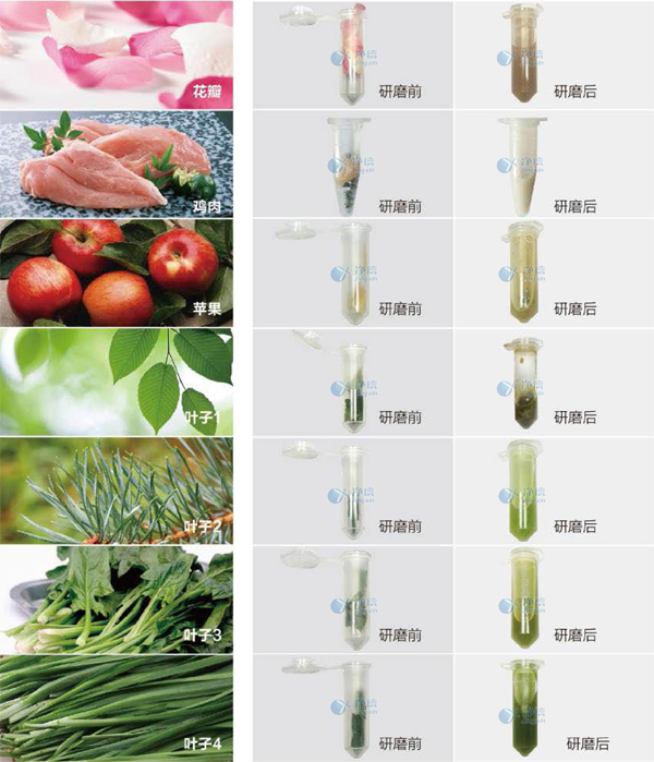 1718099000299888.jpg 761932121011.jpg