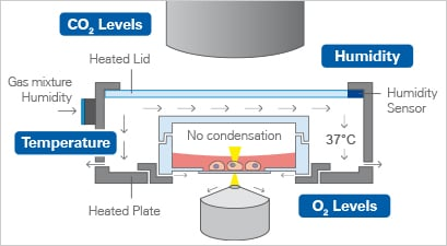 1734332750106932.png ibidi加熱系統(tǒng).png
