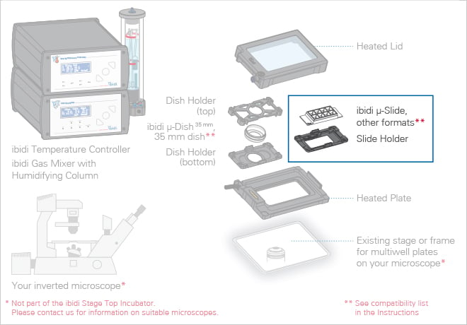 1734576072191570.jpg 1734576072191570.jpg