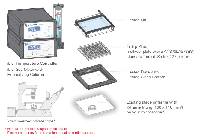 1734578794259952.png 7578e54e2be93e6c3cfc3407fbd98587.png