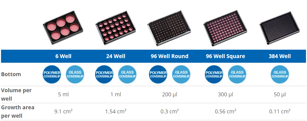 1735611530878851.png 1735611530878851.png