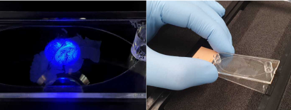 1735611986117700.png QQ截圖20241231102614.png