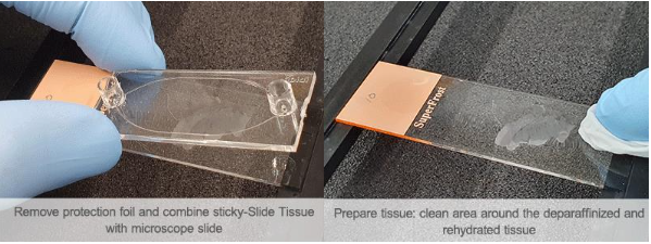 1735612188529972.png QQ截圖20241231102933.png