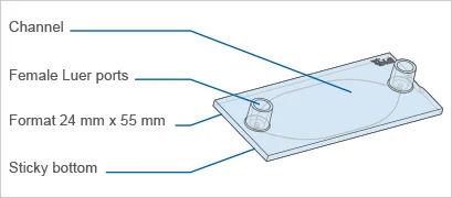 1735612208162881.png eefd3274ac0721c2cc27fa0d592d6855.png