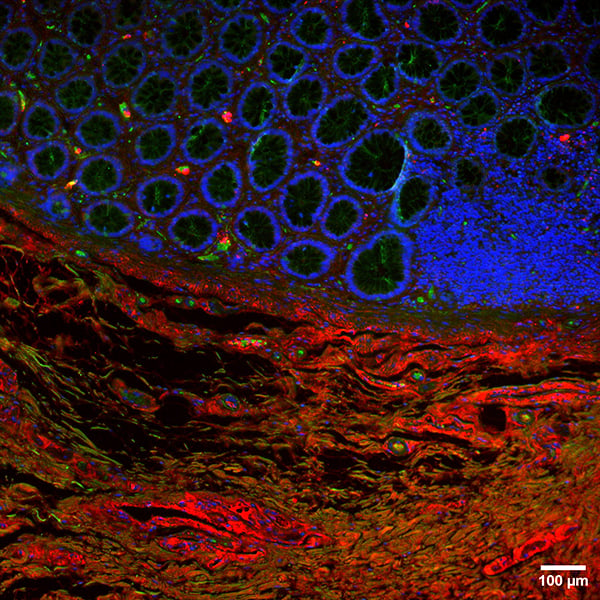 1735612242410926.png 1735612242410926.png