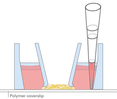 1739502595495779.png QQ截圖20250214105612.png