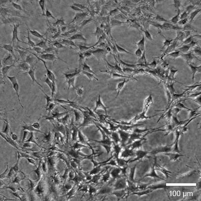 1739502804360249.png e498d68d0286f033123ebaa05af480d6.png