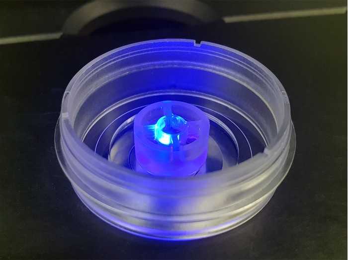 1739510226964894.jpg 1739510226964894.jpg