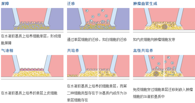 1739772507460383.png QQ截圖20250217140150.png