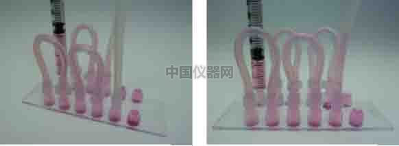 探討流體剪切力對(duì)細(xì)胞活動(dòng)的影響--流體剪切力對(duì)細(xì)胞吸收人造細(xì)胞器的影響