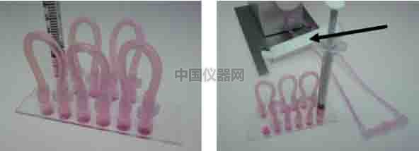 探討流體剪切力對(duì)細(xì)胞活動(dòng)的影響--流體剪切力對(duì)細(xì)胞吸收人造細(xì)胞器的影響