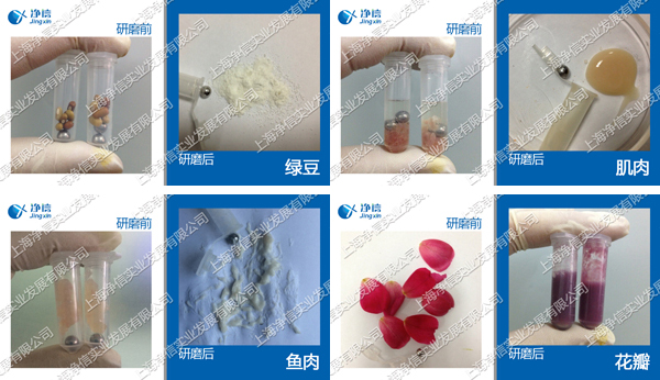 低溫組織研磨儀樣品研磨效果圖